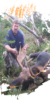 Forfaits de chasse au gros gibier au caribou — West Woods Outfitters – West Woods Outfitters